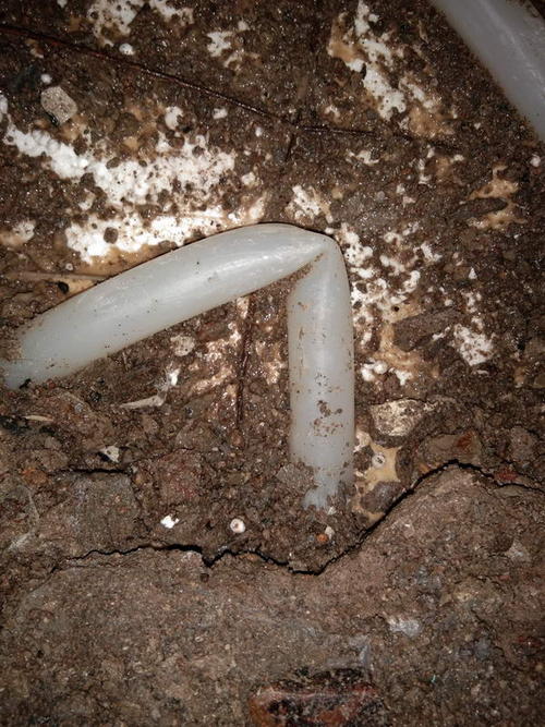 新蔡堵点精准查找